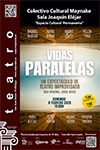 VIDAS PARALELAS (JORGE BICHO)